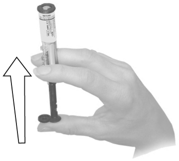 BEFORE REMOVING LUER TIP CAP, hold the syringe with tip cap upright. Press syringe plunger until plunger moves slightly. This motion breaks the seal between plunger and syringe barrel.