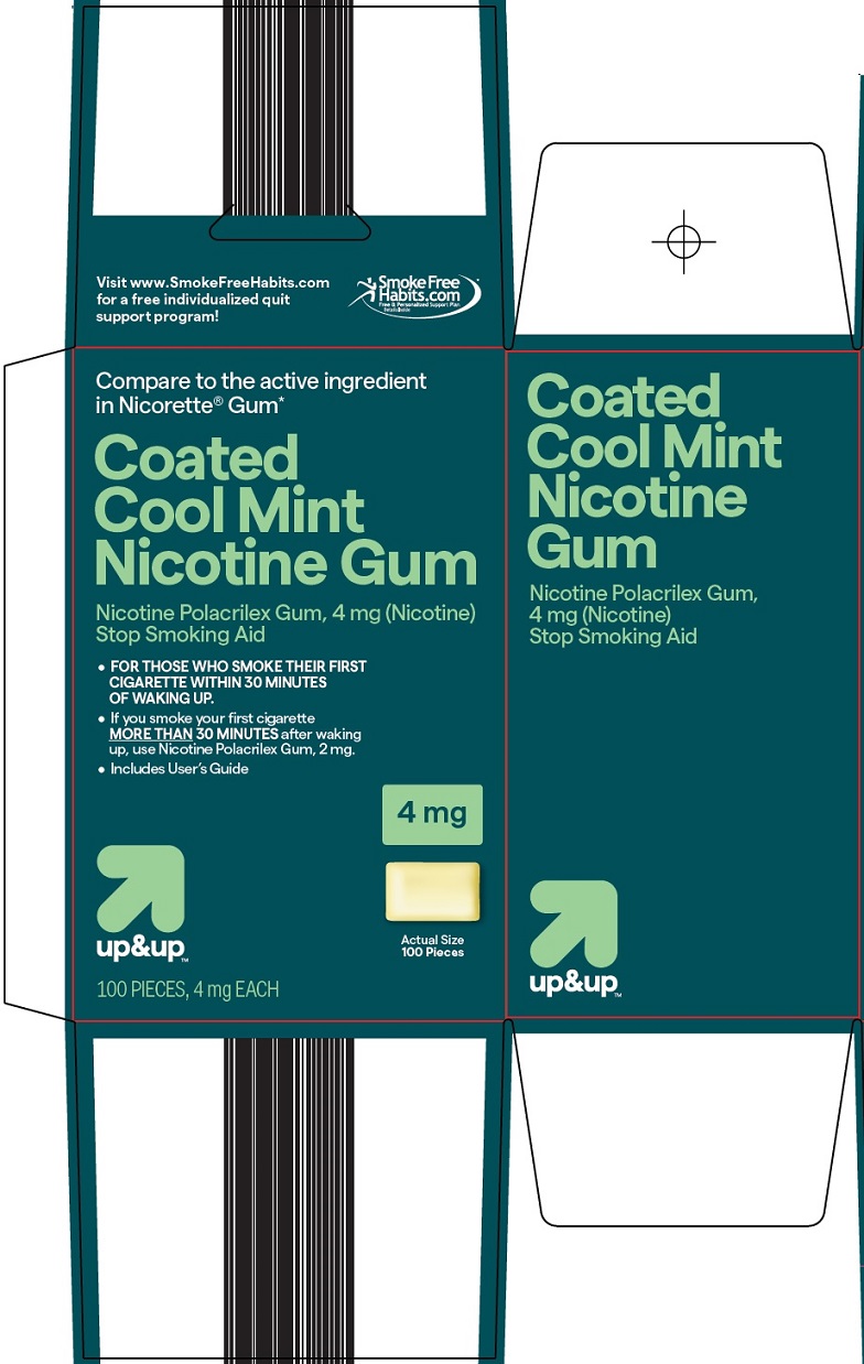 Coated Cool Mint Nicotine Gum Carton Image 1