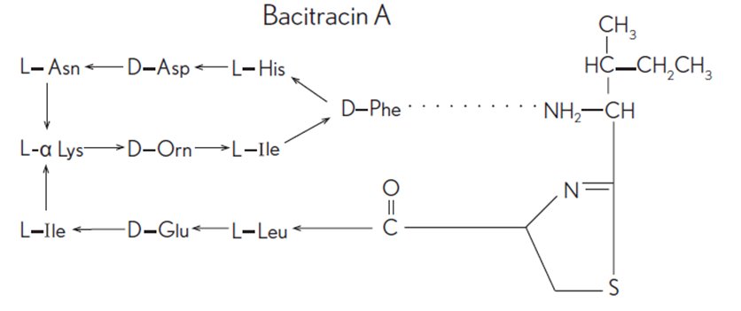 Bacitracin A (Strucural Formula)