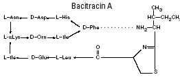Bacitracin A (Strucural Formula)