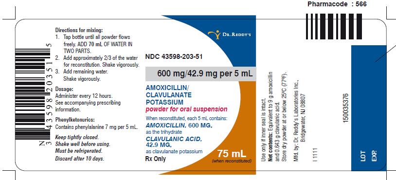 Amoxicillin and Clavulanate Potassium for Oral Suspension Label Image - 600mg/5mL