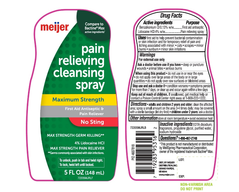 Meijer maximum strength Pain Relieving Cleansing Spray