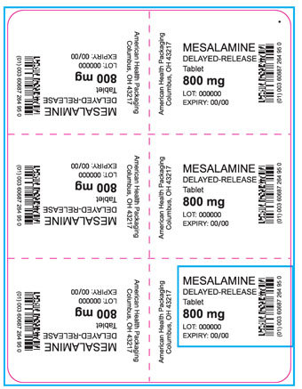 800 mg Mesalamine DR Tablet Blister