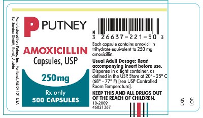 Amoxicillin 250 mg Label