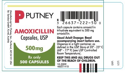 Amoxicillin 500 mg Label
