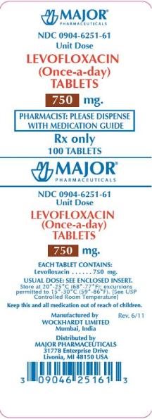 Levofloxacin 750 mg carton label