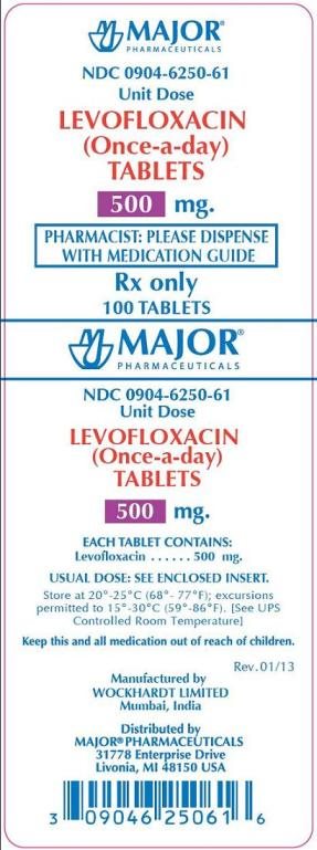 Levofloxacin 500 mg carton label