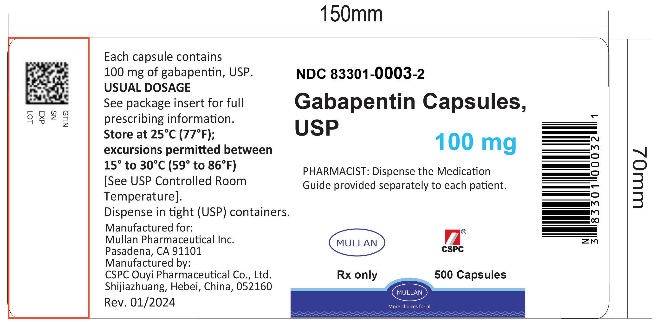 Gabapentin 100mg 500ct