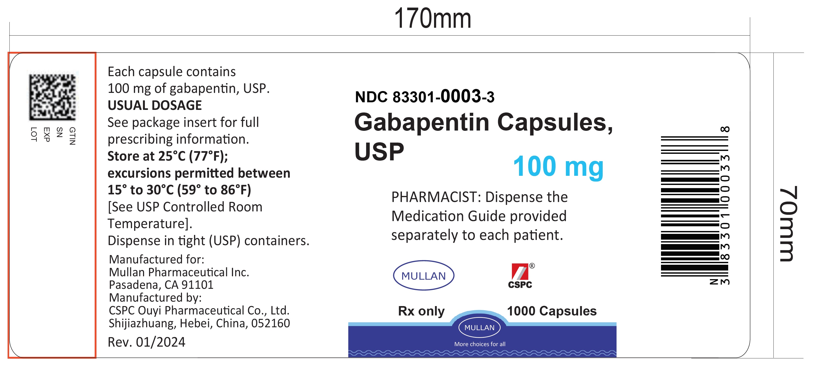Gabapentin 100mg 1000ct