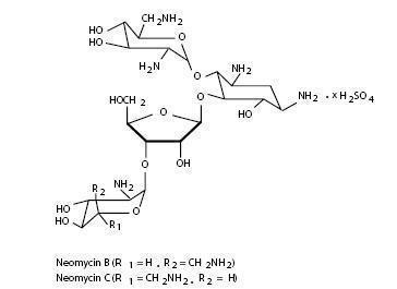 Neomycin Sulfate (structural formula)