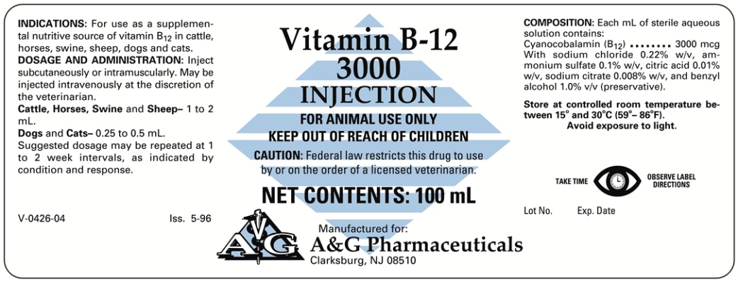 Vitamin B12 1000 mcg Label