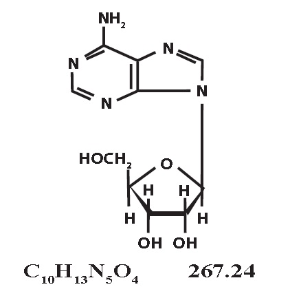 Adenosine-structure