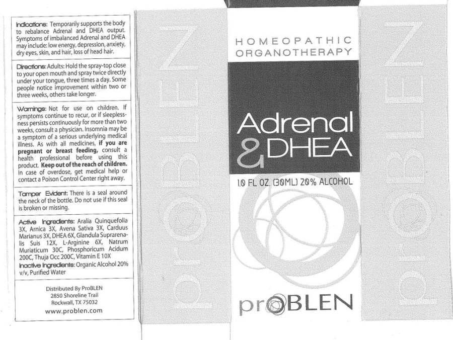Adrenal and DHEA