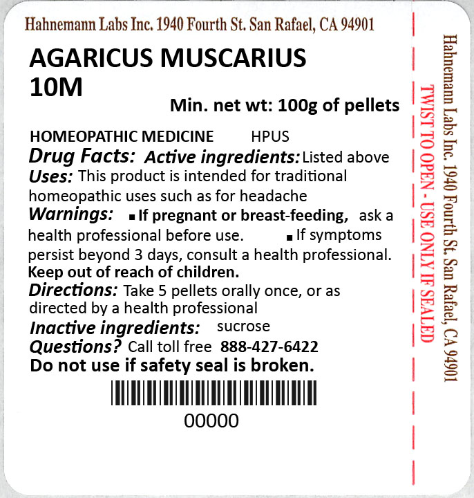 Agaricus muscarius 10M 100g