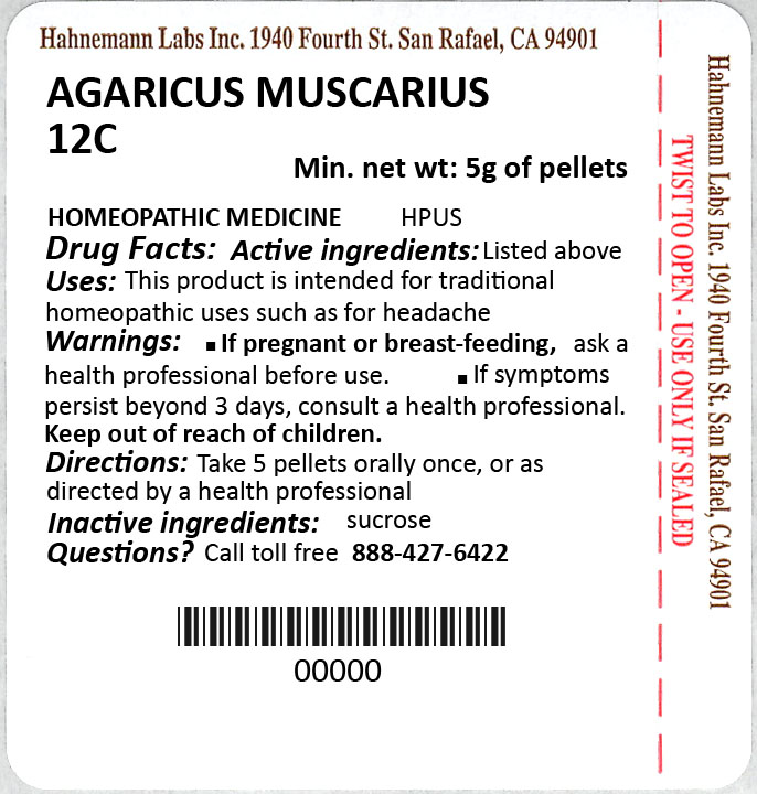 Agaricus muscarius 12C 5g