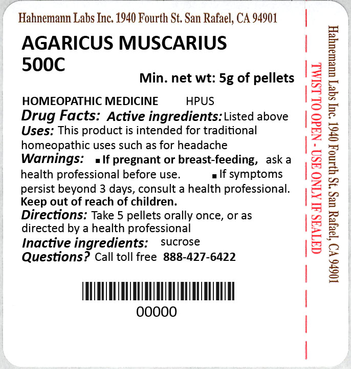 Agaricus muscarius 500C 5g