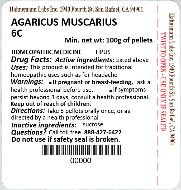 Agaricus muscarius 6C 100g
