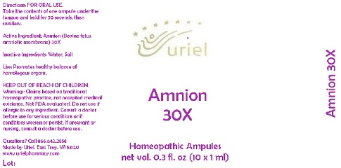 Amnion30Ampule