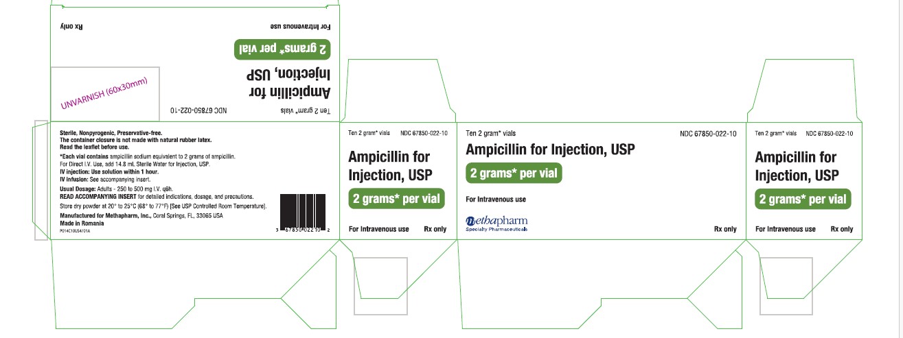 Ampicillin-Carton Label-2g