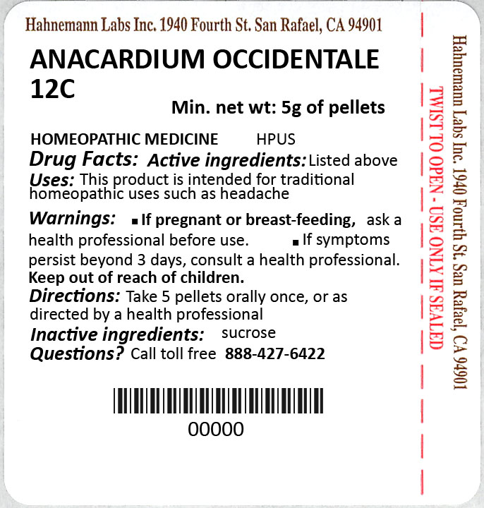 Anacardium Occidentale 12C 5g