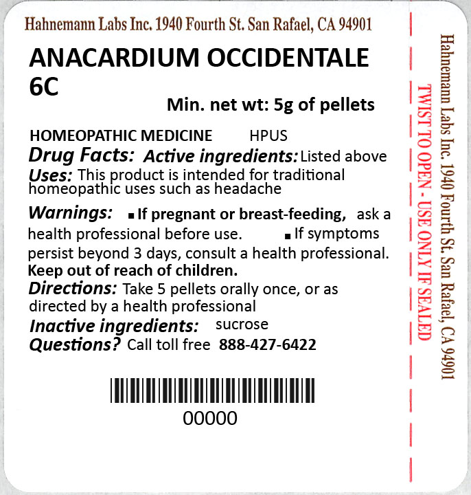Anacardium Occidentale 6C 5g