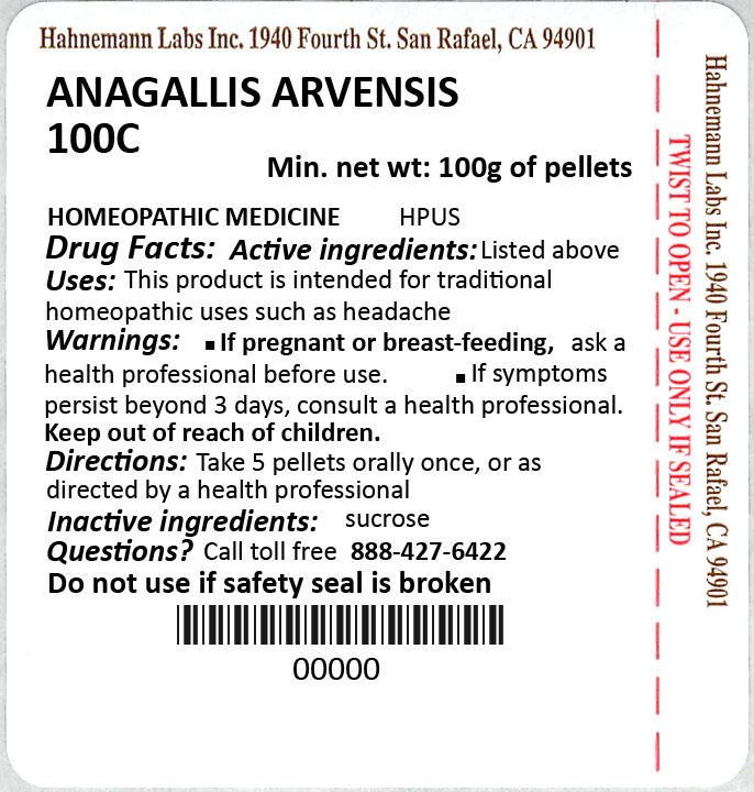 Anagallis Arvensis 100C 100g 