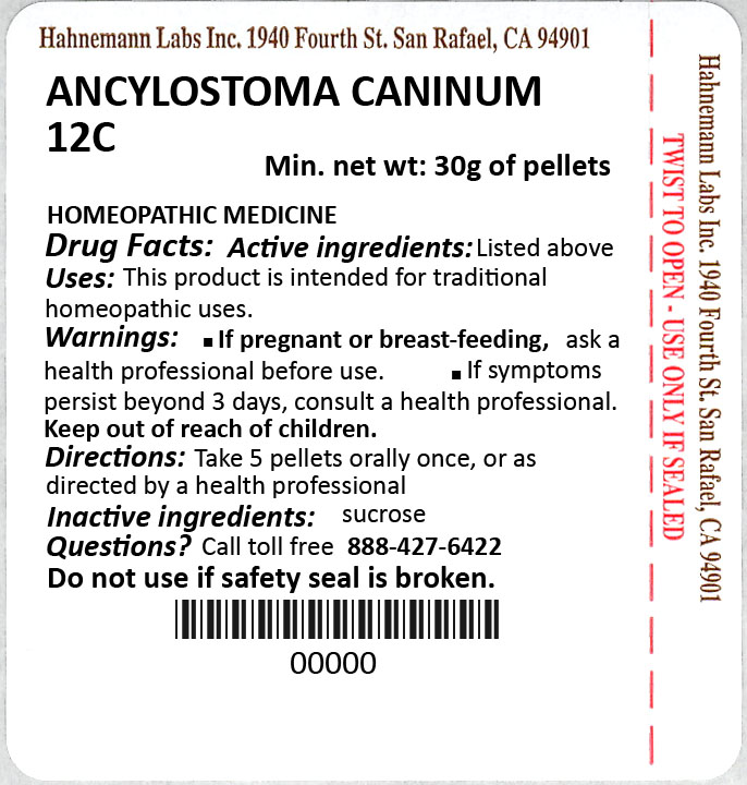 Ancylostoma Caninum 12C 30g