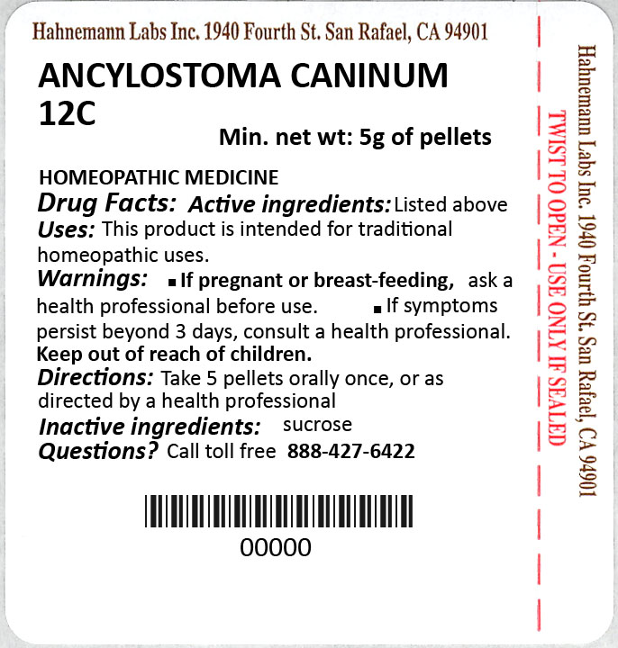 Ancylostoma Caninum 12C 5g