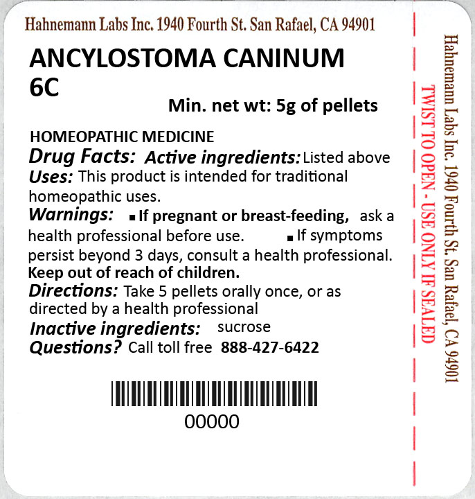 Ancylostoma Caninum 6C 5g