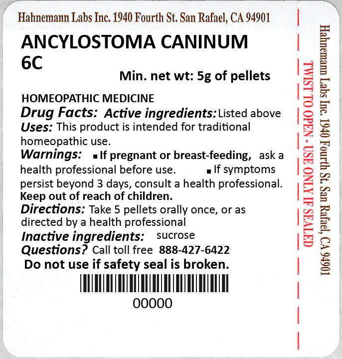 Ancylostoma Caninum 6C 5g