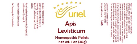 Apis Levisticum Pellets