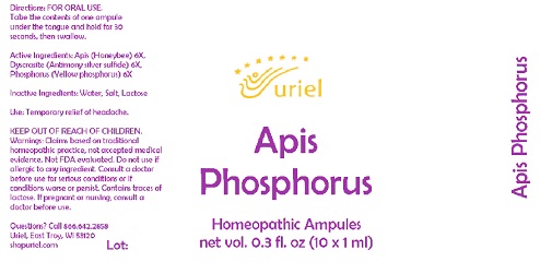 Apis Phosphorus Ampules