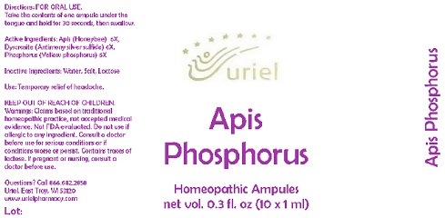 ApisPhosphorusAmpule