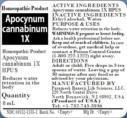 Apocynum cannabinum 1X