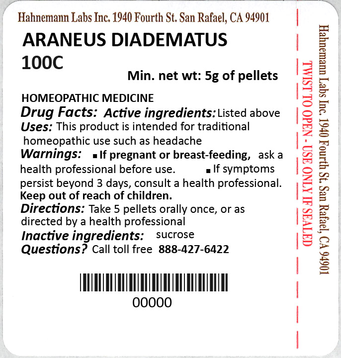 Araneus Diadematus 100C 5g
