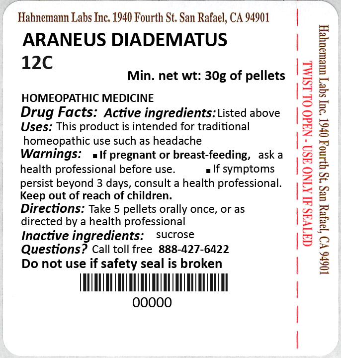 Araneus Diadematus 12C 30g