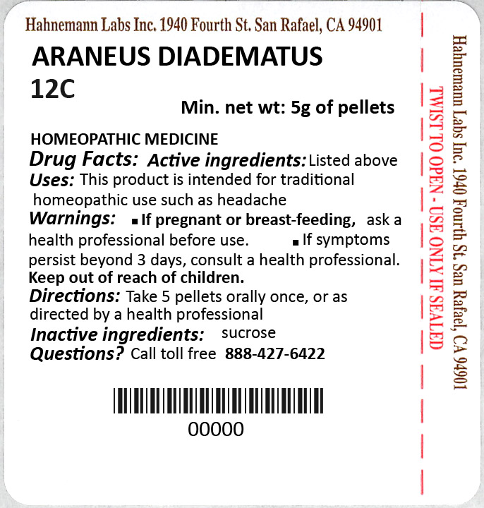 Araneus Diadematus 12C 5g