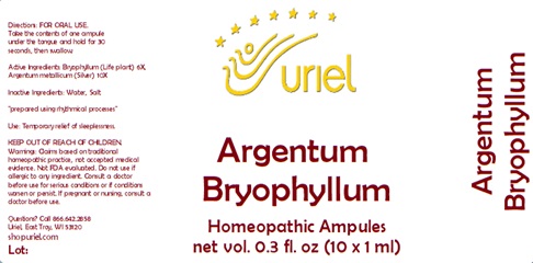 Argentum Bryophyllum Ampule