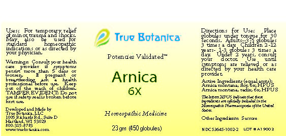 Arnica 6X