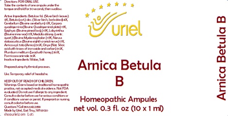 Arnica Betula B Ampules