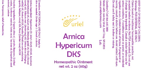 Arnica Hypericum DKS Ointment