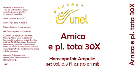 Arnica e pl. tota 30X Ampules