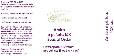 Arnica E Pl. Tota 10x Special Order Liquid Breastfeeding
