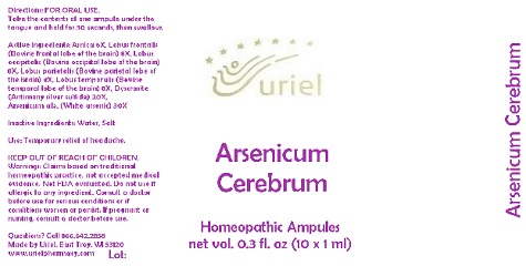 ArsenicumCerebrumAmpules