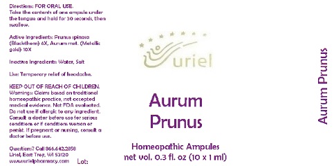 AurumPrunusAmpules