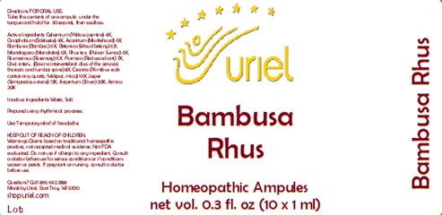 Bambusa Rhus Ampules