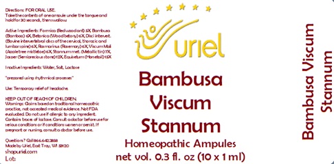 Bambusa Viscum Stannum Ampules