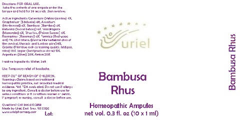 BambusaRhusAmpules