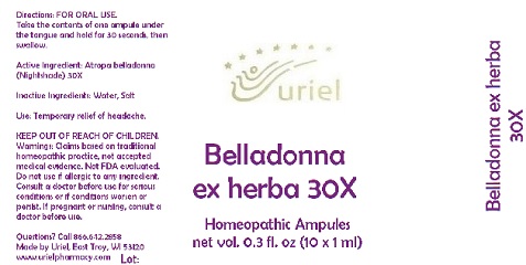 Belladonna Ex Herba 30 Liquid Breastfeeding