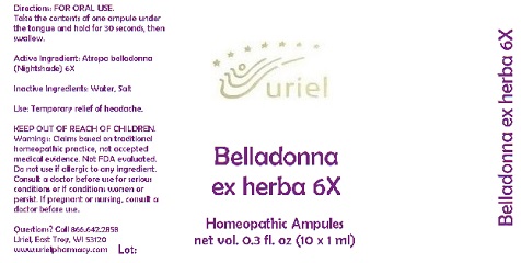 Belladonna Ex Herba 6 Liquid Breastfeeding